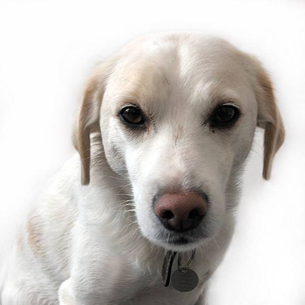 Percy